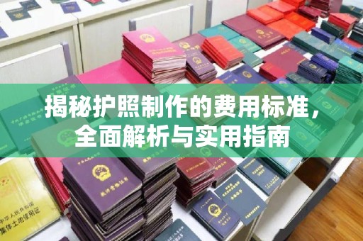 裕华揭秘护照制作的费用标准，全面解析与实用指南